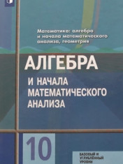 Алгебра и начала математического анализа. 10 класс.